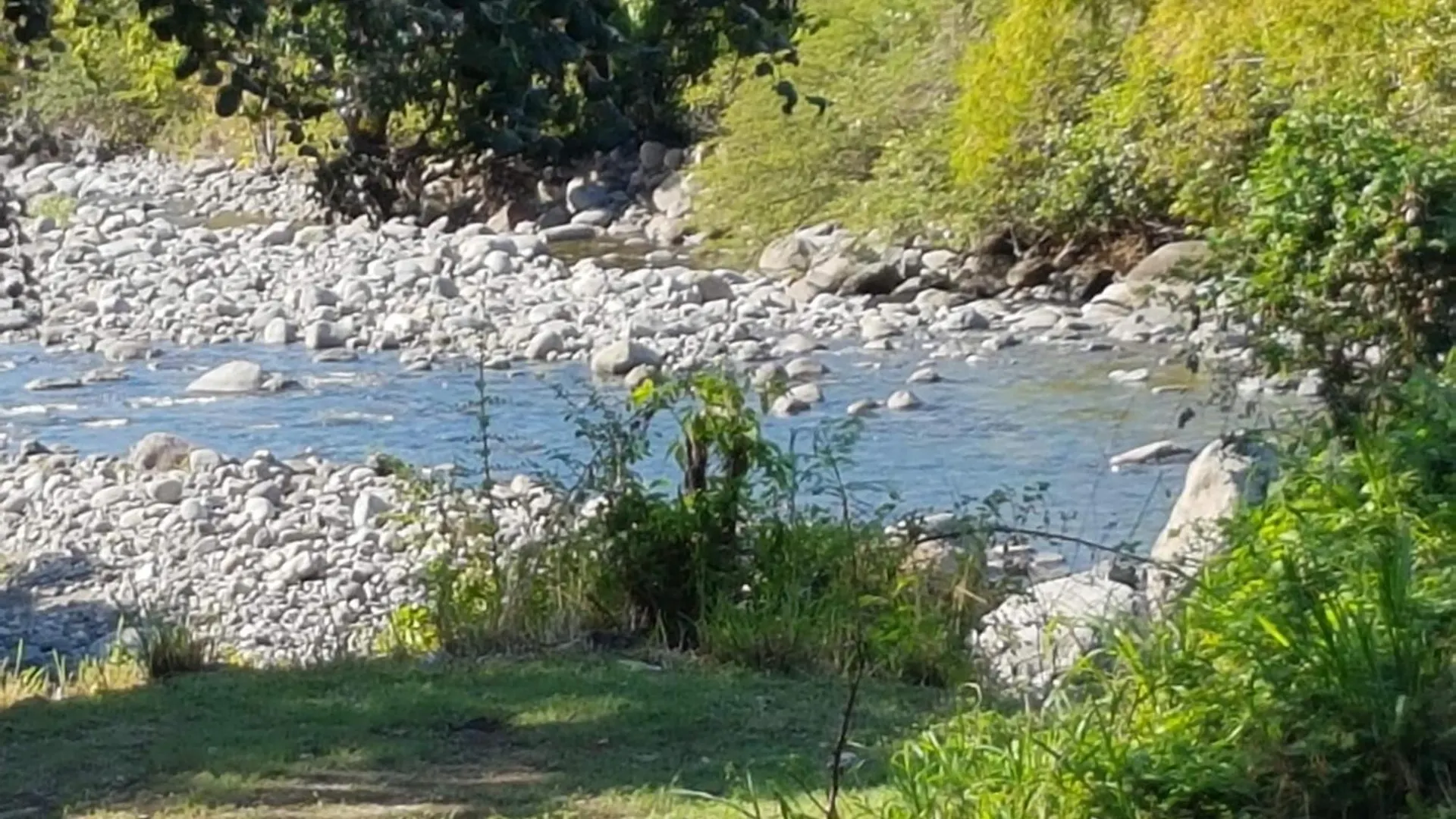 Les Gites D'Angele Vieux-Habitants Guadeloupe